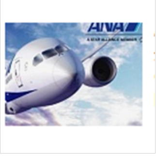 ANA All Nippon Airways әуекомпаниясын енгізу